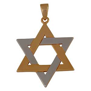 Yellow and White Gold-filled Star of David Pendant
Yellow and White Gold-filled Star of David Pendant