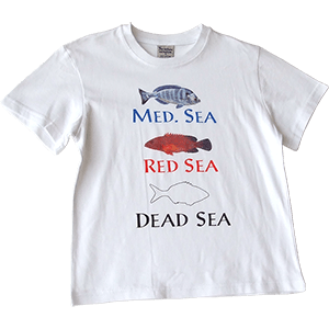 Remeras para niños Med Sea, Red Sea Dead Sea