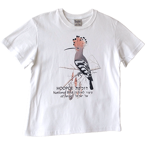 Camiseta para niños, Hoopoe, Ave nacional de Israel (pajaro carpintero)