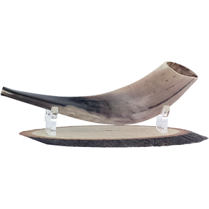 Wooden Shofar Stand with Lucite Stand.