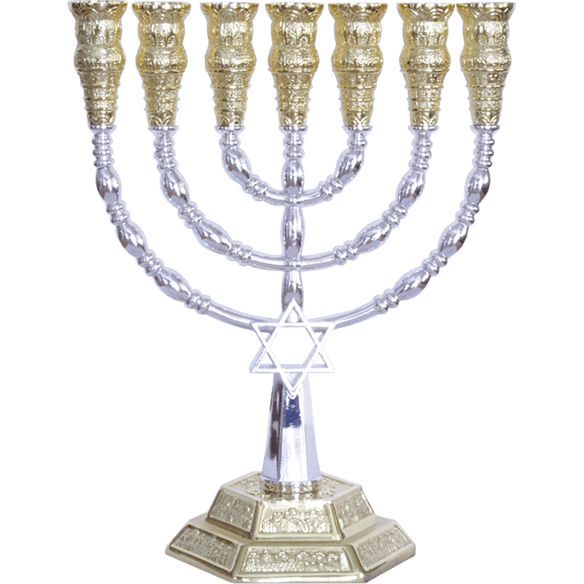 Silver and Gold Plated Star of David Menorah