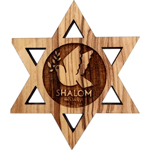 Shalom Dove Olive Wood David's Star Magnet
