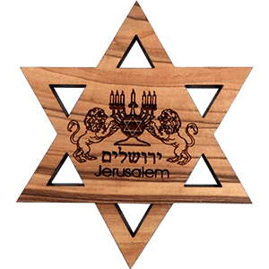 Lion of Judah David's Star Olive Wood Magnet