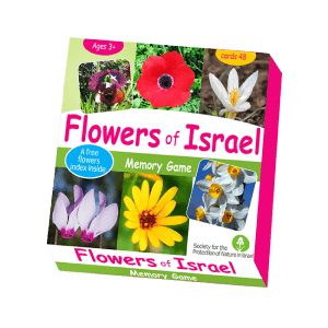 Flowers of Israel Memory Game