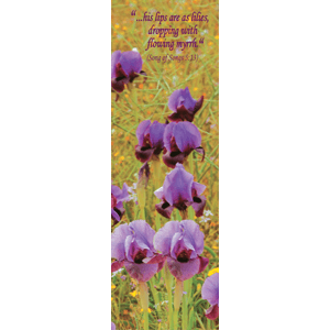 Gilboa Iris Biblical Flower Bookmark
