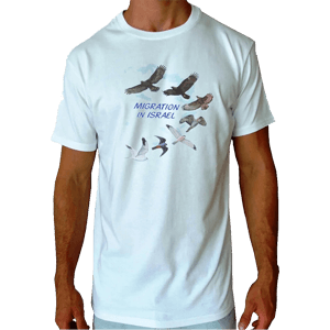 Migration in Israel T-Shirt