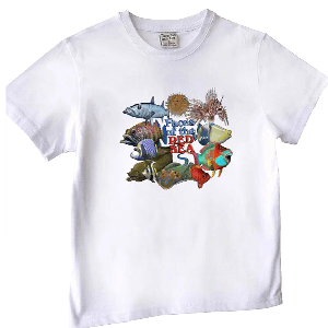 Aleph-Bet with Animals Toddler and Kids T-Shirt