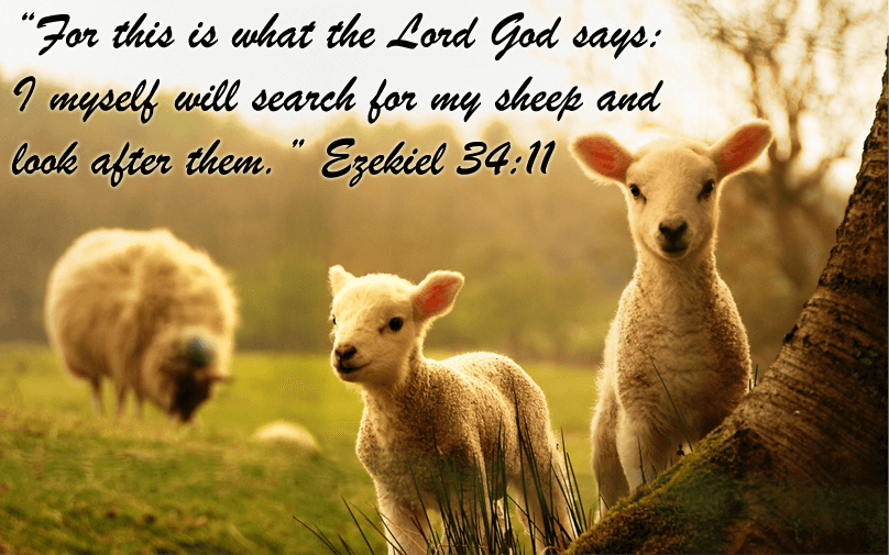 Featured image of post Simple Way to The Lamb In The Bible